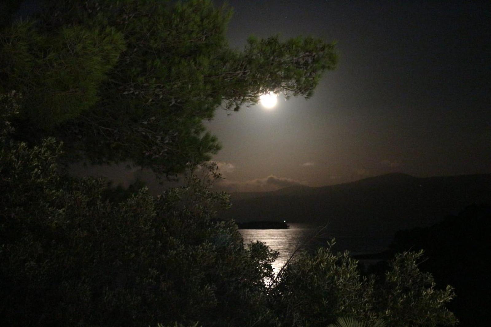 Holiday Hvar Vrbanj Exterior foto